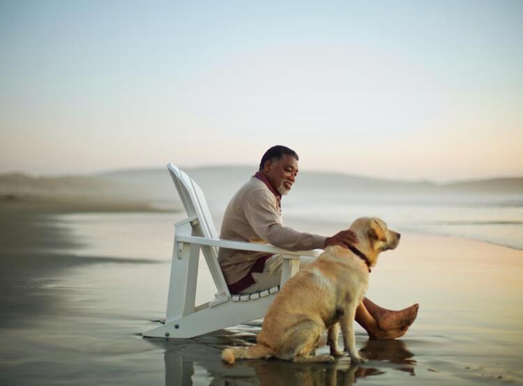 Man and dog on beach